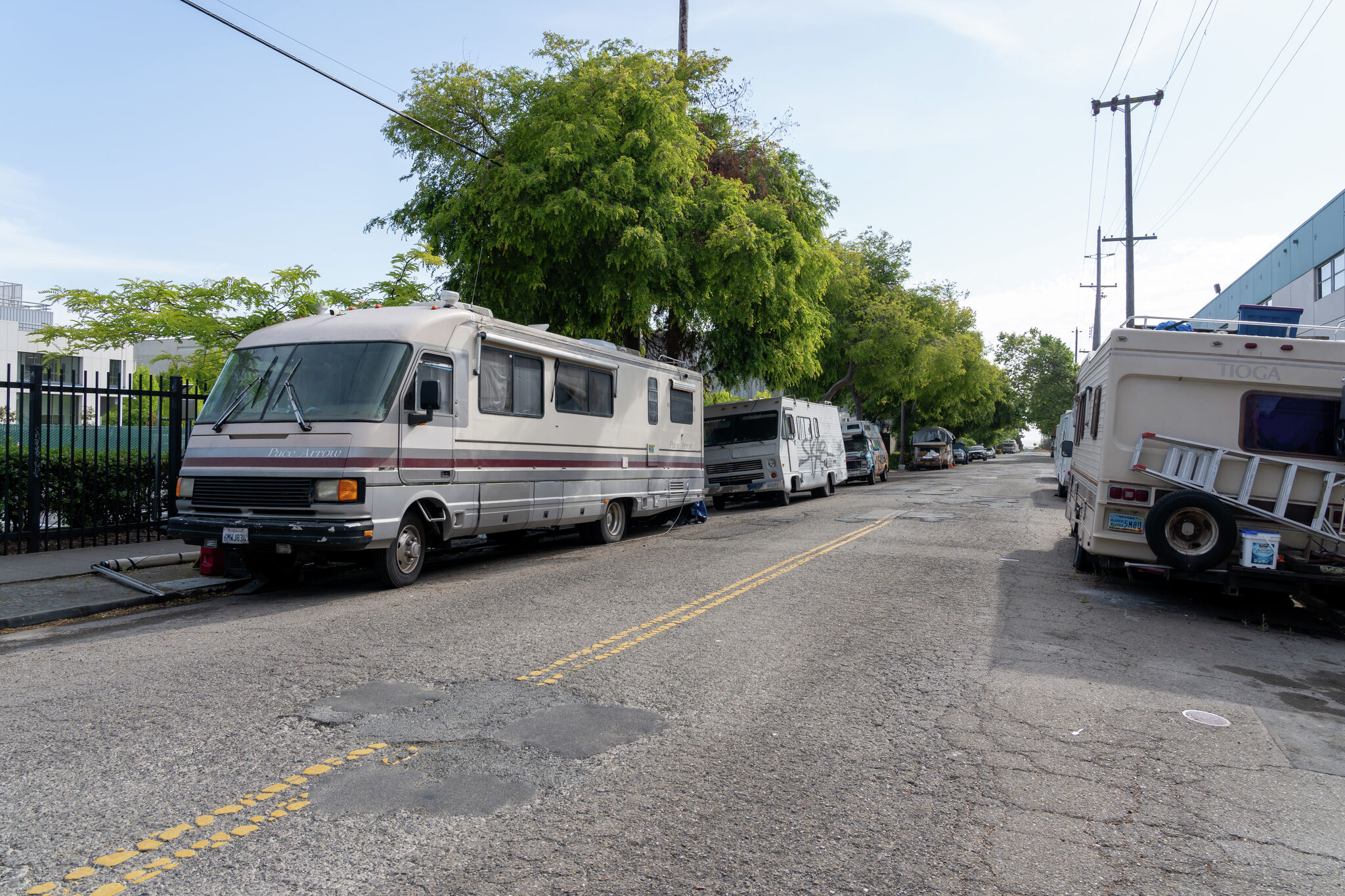 Death from rat-related infection in Berkeley acts as a reminder.