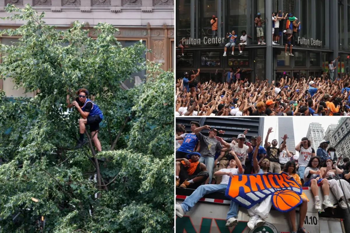 Dedicated Knicks supporters scale trees, fire escapes, scaffolding, and more to see NBA champions.