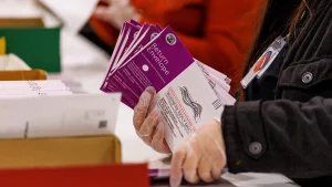 Delays in California elections linked to mail voting system, expert indicates