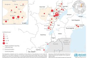 Ebola illness linked to Bundibugyo virus in the Democratic Republic of the Congo and Uganda