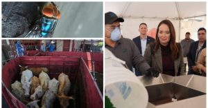 Emergency Announced After Second Screwworm Case Discovered in Texas, Canada Prohibits Texas Cattle