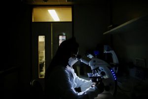 Existing medication alters white blood cells and enhances blood sugar levels in type 1 diabetes.