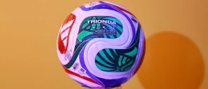 FIFA May Bring Challenges for Host Cities
