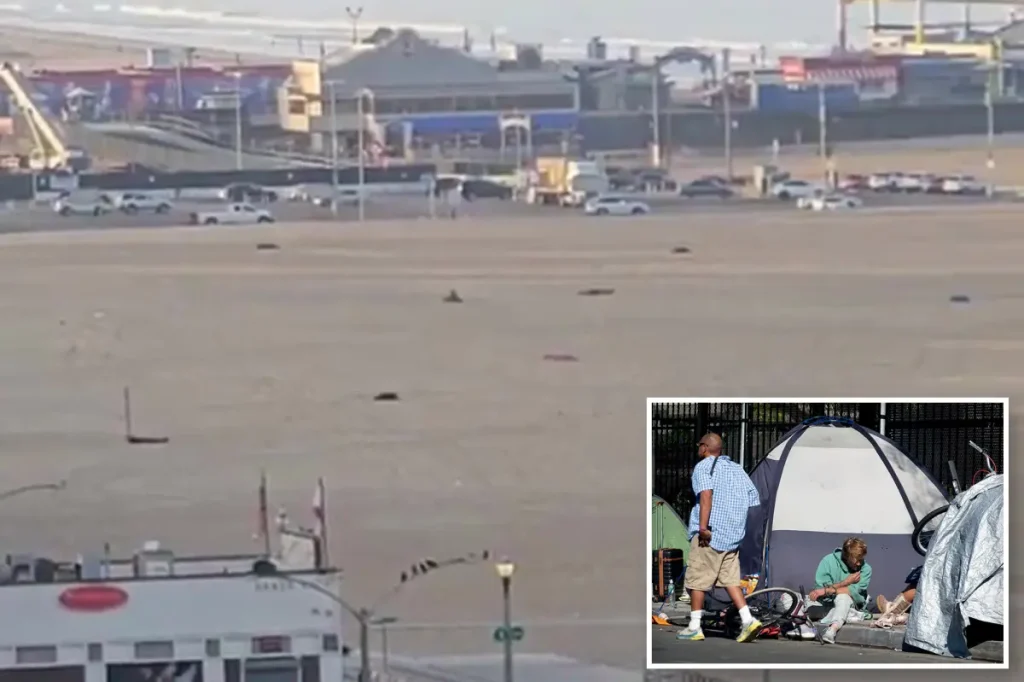 Famous Santa Monica beach transforms into 'sleeping bag city' at dawn as locals react