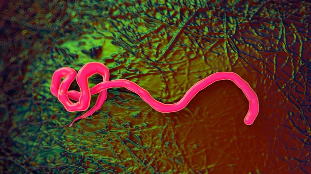 First Ebola Case Confirmed Outside Africa in 2026 Outbreak