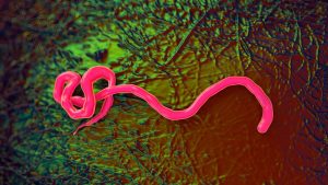 First Ebola Case Confirmed Outside Africa in 2026 Outbreak