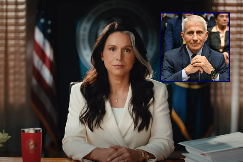 Gabbard unveils declassified documents revealing Dr. Fauci’s links to the origins of COVID-19 in final action as outgoing DNI