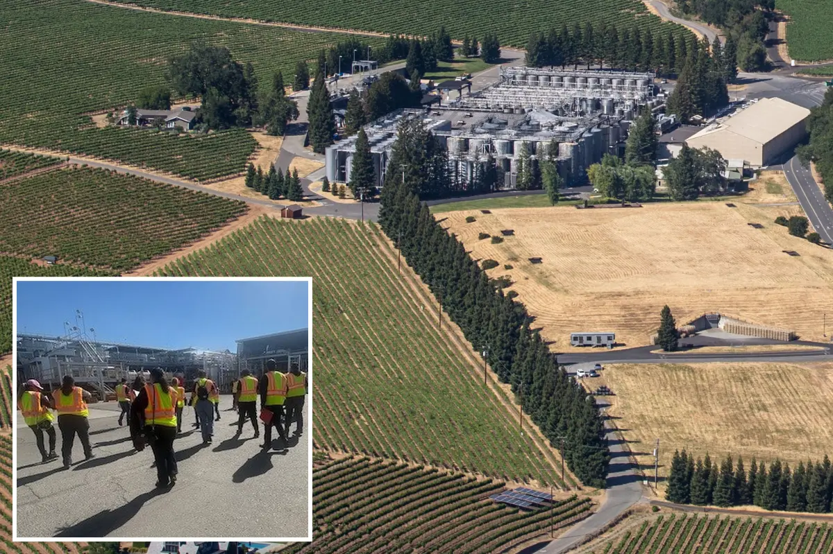 Gallo, the largest winemaker in America, closes another facility in California and lays off more employees.