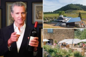 Gavin Newsom earned over $410,000 from his wine business and hospitality projects in 2025