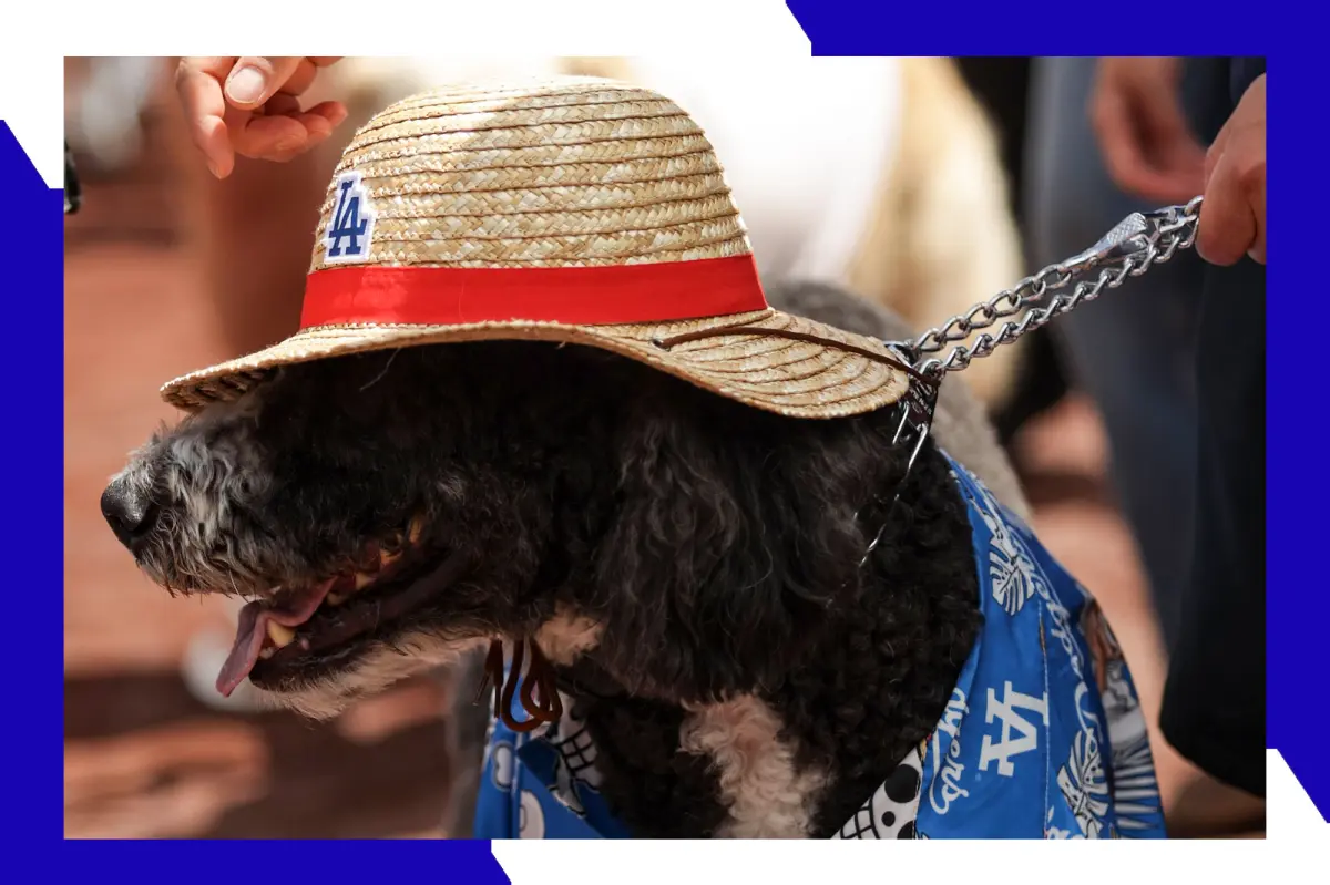 Get discounted tickets for the Dodgers' One Piece Night