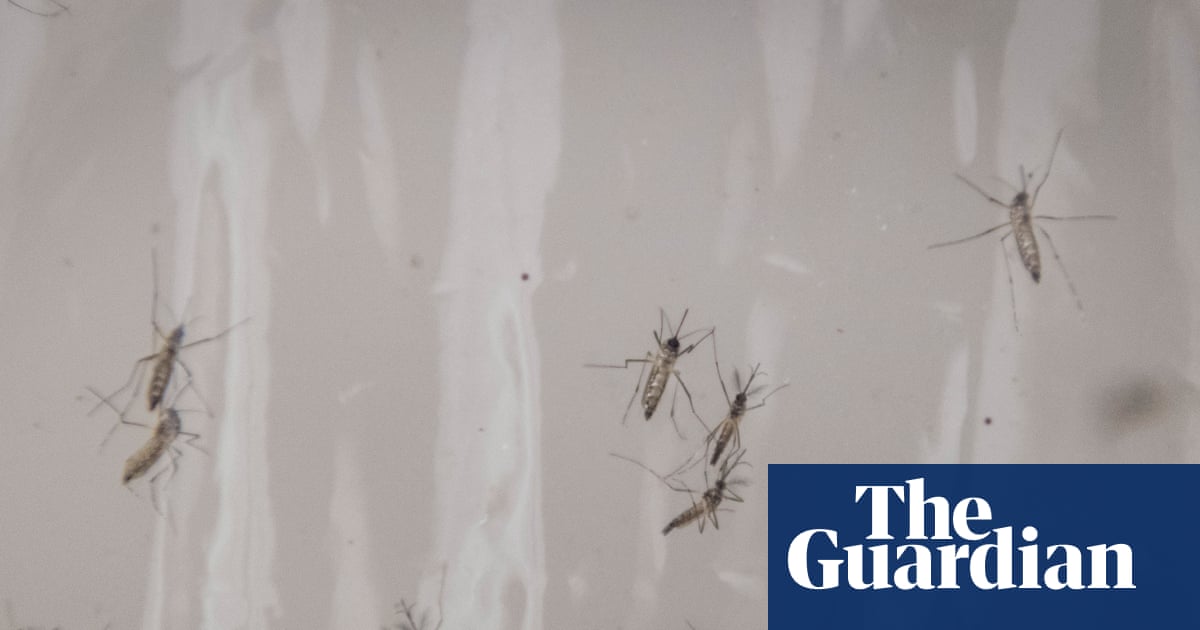 Google seeks approval to release 32 million mosquitoes in California and Florida.