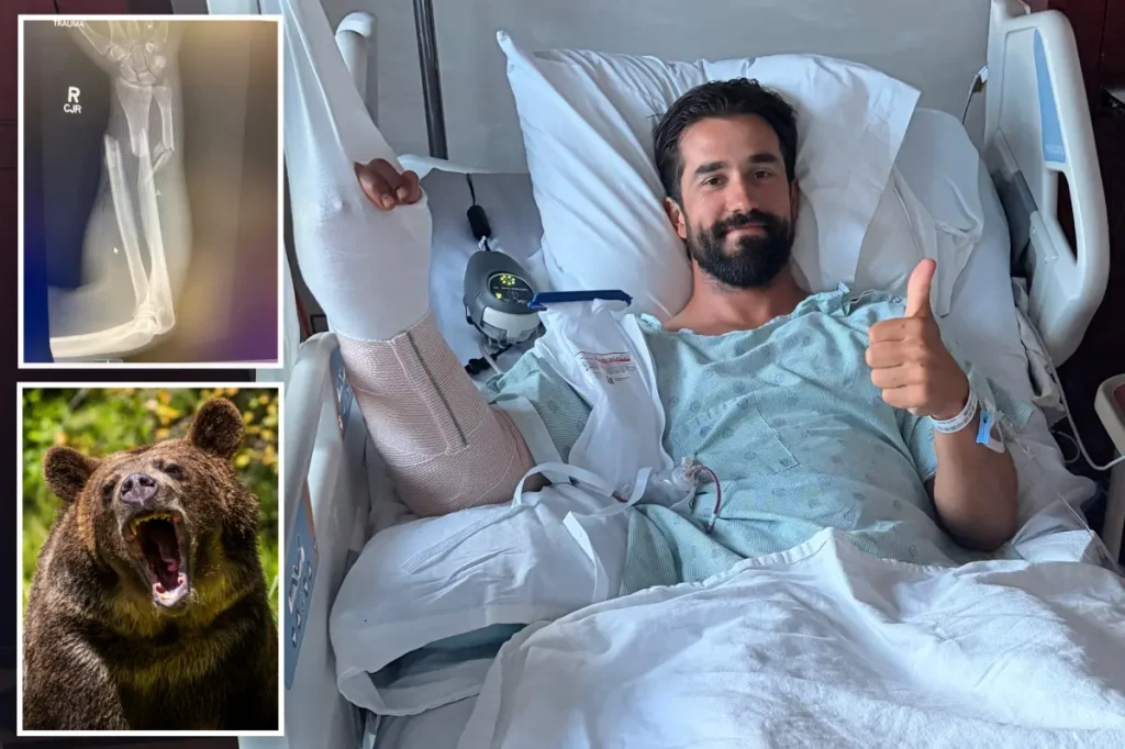 Hiker shares terrifying experience of grizzly bear attack in Glacier National Park