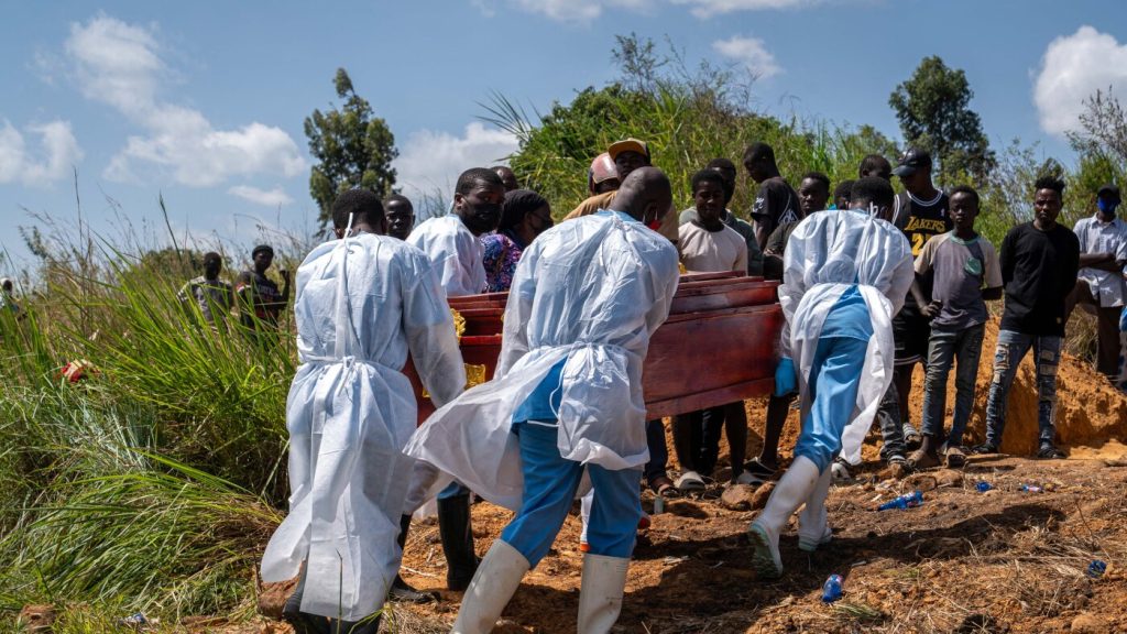 How Ebola causes death and what is needed to prevent it