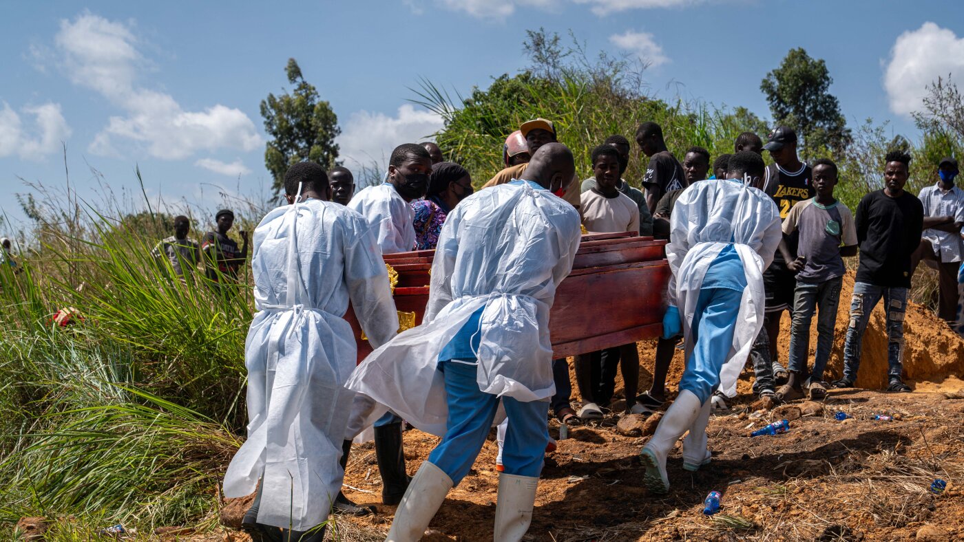 How Ebola causes death and what is needed to prevent it