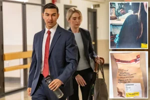 How FBI agents monitored suspected serial rapist Matthew Nilo in a 'temptation room' at a NYC bar to obtain his DNA and solve the case
