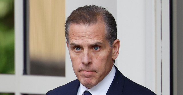 Hunter Biden Invites Donald Trump Jr. to a Cage Match Following UFC Event That Upset Him