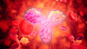 IBD results from a faulty 'inflammation control' mechanism in certain patients.