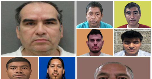 ICE Agents Detain Illegal Immigrants Found Guilty of Child Sexual Offenses, Abuse, and Domestic Violence