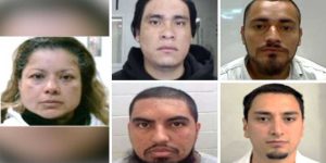ICE removes criminal undocumented immigrants found guilty of child abuse, rape, and other serious offenses.