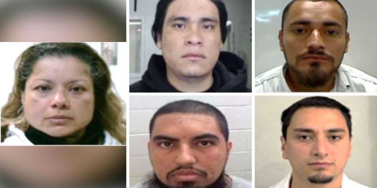 ICE removes criminal undocumented immigrants found guilty of child abuse, rape, and other serious offenses.