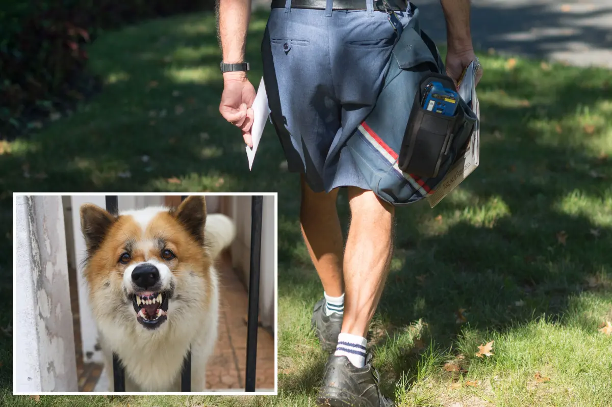 Immediate alert for pet owners following alarming report of dog attacks on mail carriers