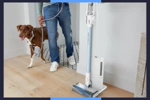 Initial Prime Day vacuum offers are ensuring a thorough clean
