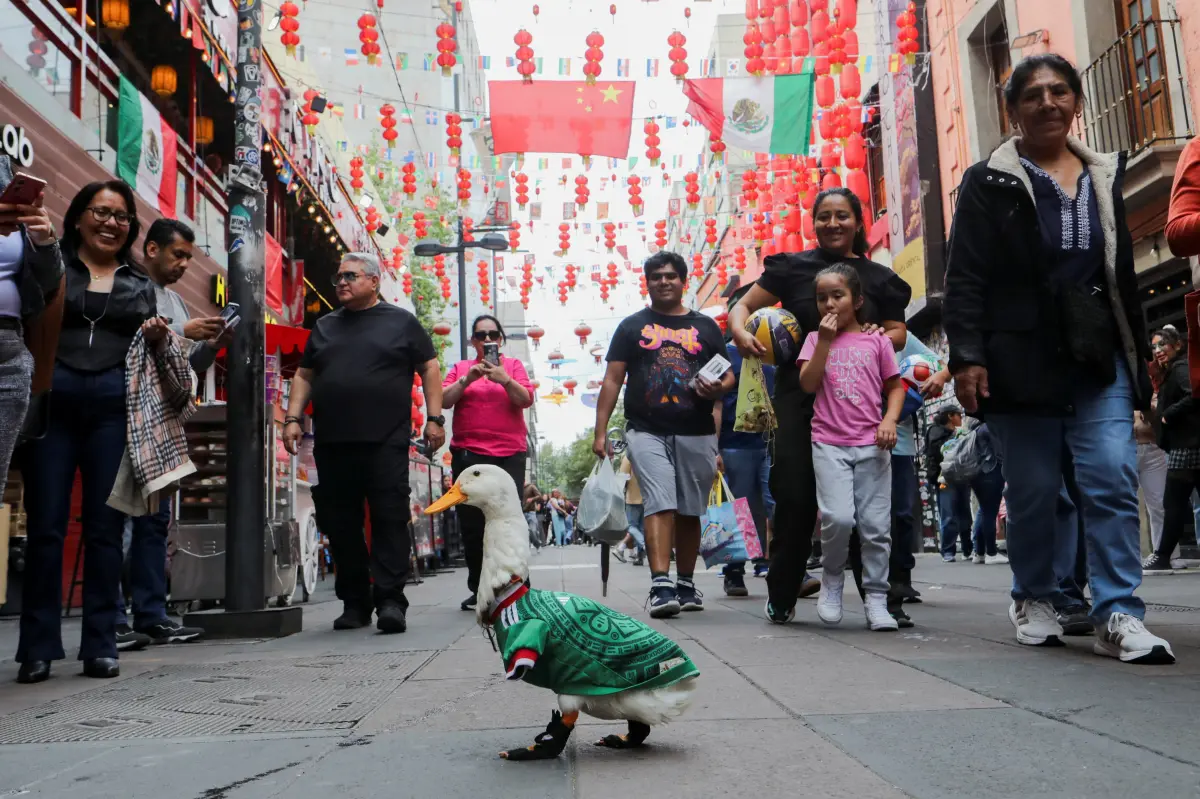 Introducing Merlin, the popular Mexican duck making waves at the World Cup