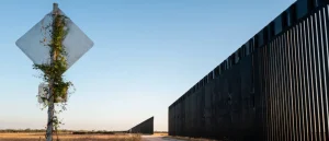 Invasive Flesh-Eating Screw Worm Discovered 25 Miles From U.S. Border, According to USDA