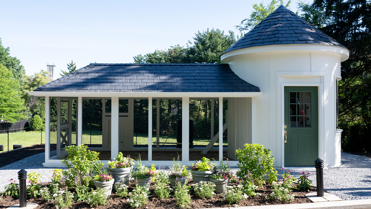 JD Vance sets up a personalized chicken coop at his home in the Naval Observatory
