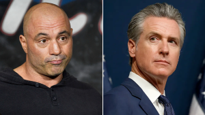 Joe Rogan compares LA to Detroit and questions Newsom's approach.
