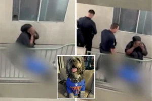 Knicks' watch party tragedy as family dog is shot by police – distressing video surfaces