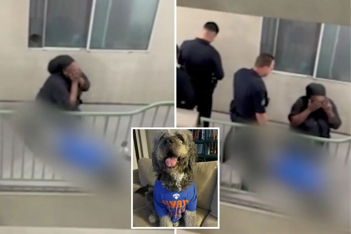 Knicks' watch party tragedy as family dog is shot by police – distressing video surfaces