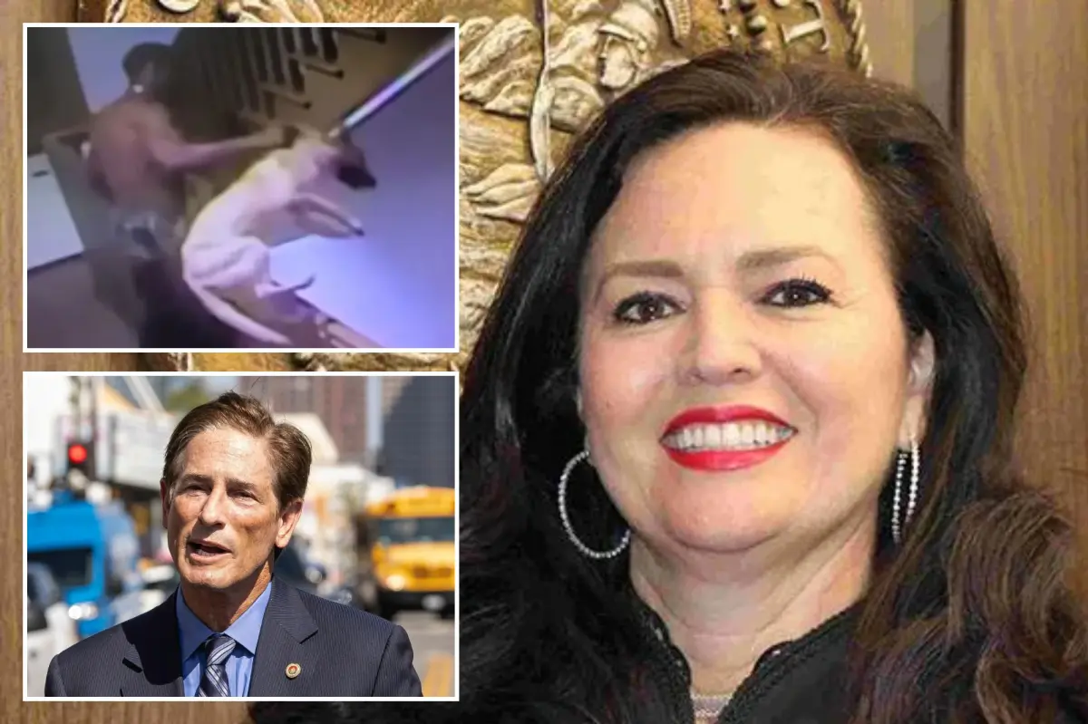 LA District Attorney Nathan Hochman seeks to disqualify Judge Yvette Verastegui due to lenient sentencing.