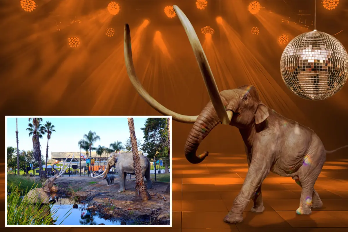 La Brea Tar Pits Museum in LA to hold disco party before temporary closure for two years