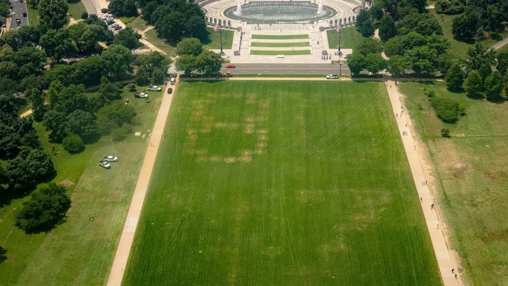 Large '8647' inscription in National Mall grass leads to inquiry
