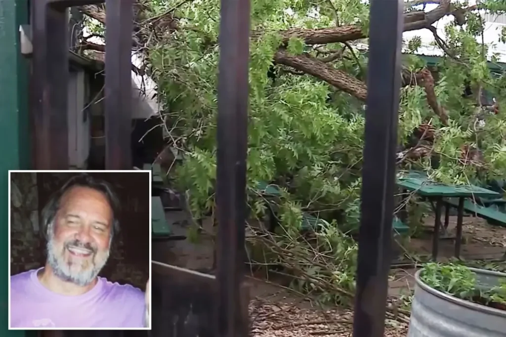 Lawsuit launched after 'Widow Maker' tree fatally falls on Texas father at BBQ restaurant