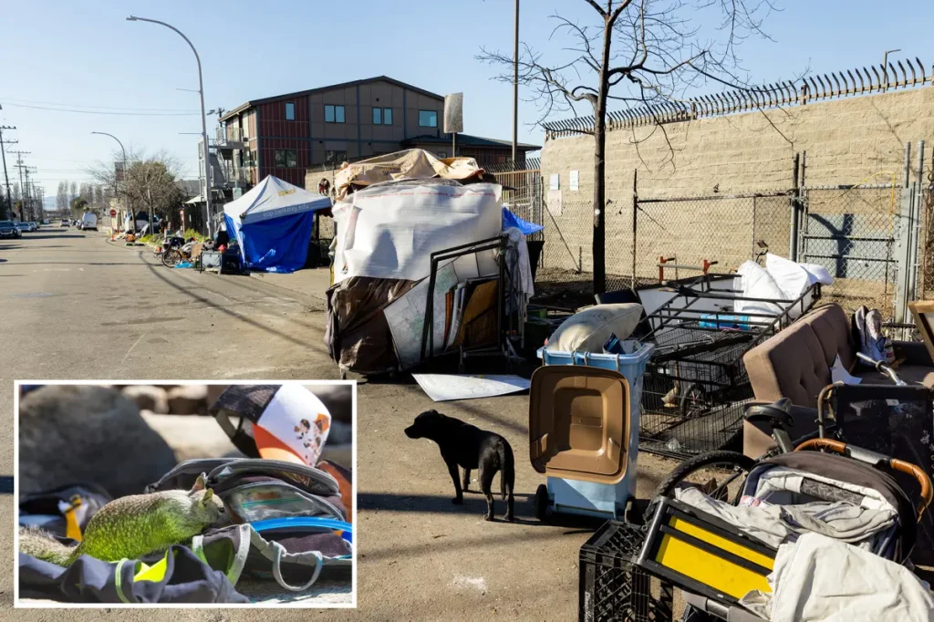 Leptospirosis outbreak in Berkeley becomes fatal as human cases are connected to RV overrun with rats.