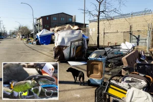 Leptospirosis outbreak in Berkeley becomes fatal as human cases are connected to RV overrun with rats.