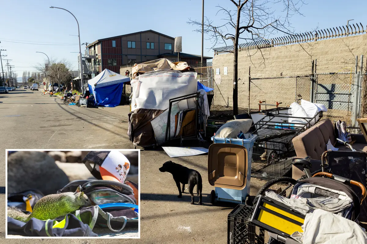 Leptospirosis outbreak in Berkeley becomes fatal as human cases are connected to RV overrun with rats.