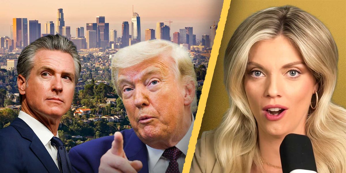 Liz Wheeler proposes a Trump plan to implement election reforms in California.