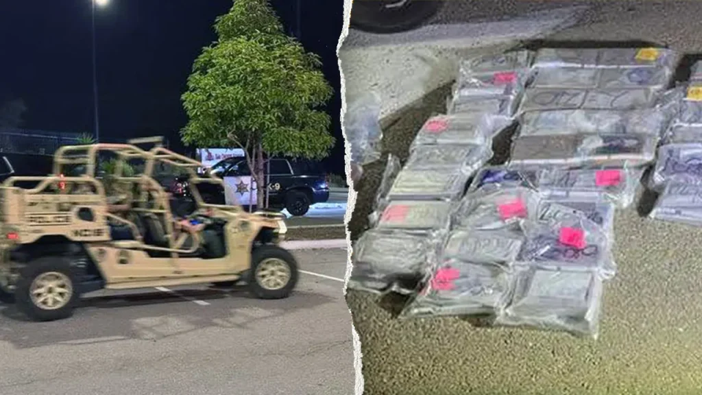 Manhunt in Camp Pendleton concludes with two arrests following discovery of 112 pounds of drugs