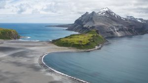 Many baby seals perished on two isolated sub-Antarctic islands. Scientists now believe they understand the reason.