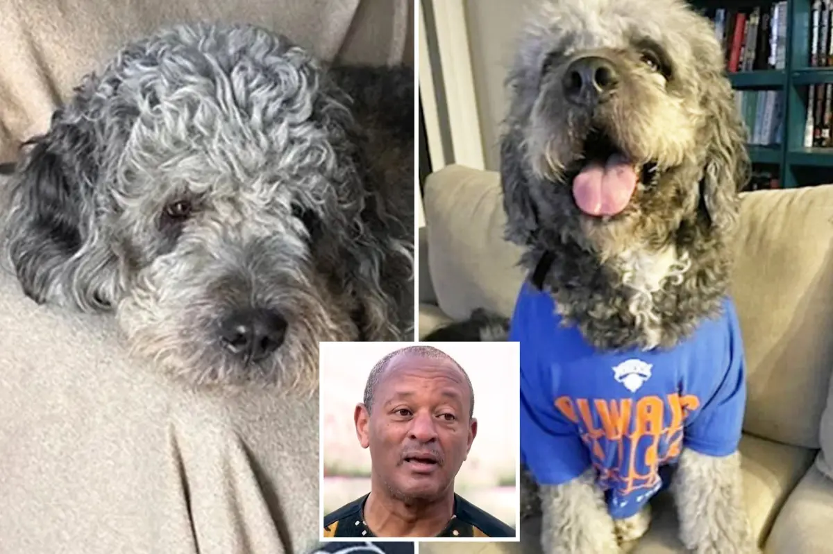 National Action Network calls for LAPD bodycam video following dog shooting during Knicks celebration