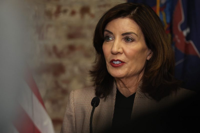 New York Democrats advocate for changing ‘mother’ to ‘gestating parent’ in recent law revision