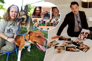 New York couple caught in dispute with pet rescue over ownership of foster puppies