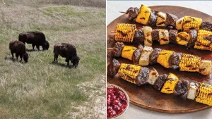 New cookbook showcases 100 recipes inspired by all 63 national parks