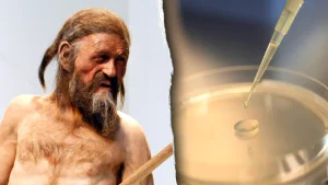 Ötzi the Iceman still carries living microbes after over 5,300 years