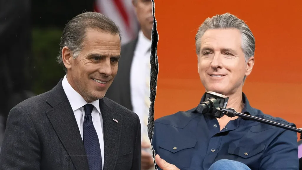 Panelist likens Hunter Biden and Newsom to a pairing of Ninja Turtles