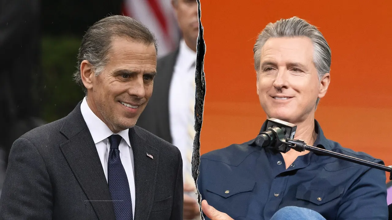 Panelist likens Hunter Biden and Newsom to a pairing of Ninja Turtles