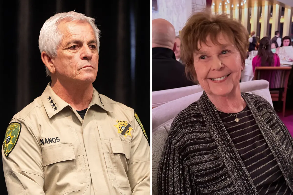 Pima County Sheriff Chris Nanos criticizes alarming social media influencers who have overwhelmed Nancy Guthrie's neighborhood.